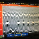 Concrete Investigation at Wells Fargo Center in Philadelphia, PA