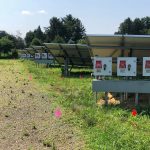 Locating all Conduits and Wiring Systems at PSE&G Substation in Thorofare, NJ