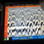 Test for Structural Integrity Before New Construction on Existing Foundation in Brooklyn, NY