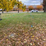 Orienting of Water Lines for Water Well in Colts Neck, NJ