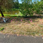 Location of Lost Water Well and Components with Ground Penetrating Radar in Cape May, NJ
